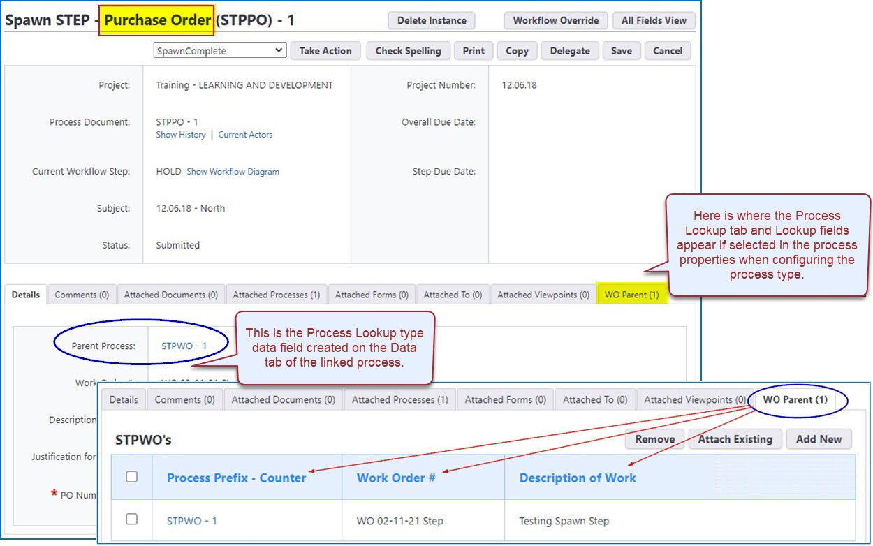 Child Process Instance